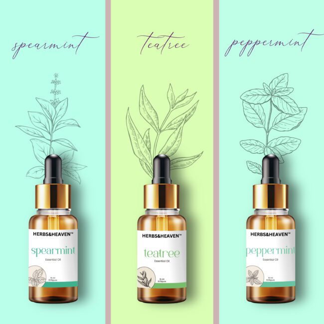 Herbs and Heaven Tea Tree, Peppermint, and Spearmint Essential Oils Combo