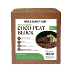 Best Coco Peat
