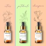 Herbs and Heaven Premium Fragrance Essential Oil Combo – Patchouli, Champaca & Citrus