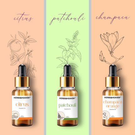 Herbs and Heaven Premium Fragrance Essential Oil Combo – Patchouli, Champaca & Citrus