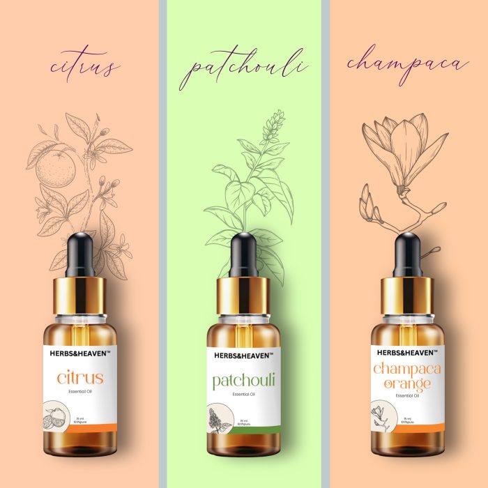 Herbs and Heaven Premium Fragrance Essential Oil Combo – Patchouli, Champaca & Citrus - Image 1