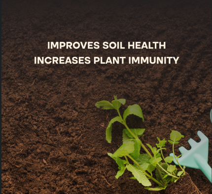 Best Organic Manure