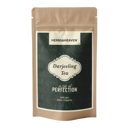 Best Darjeeling Tea