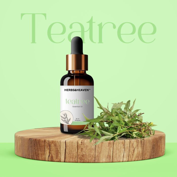 Herbs and Heaven Premium Essential Oil Combo – Tea Tree, Spearmint & Peppermint - Image 2